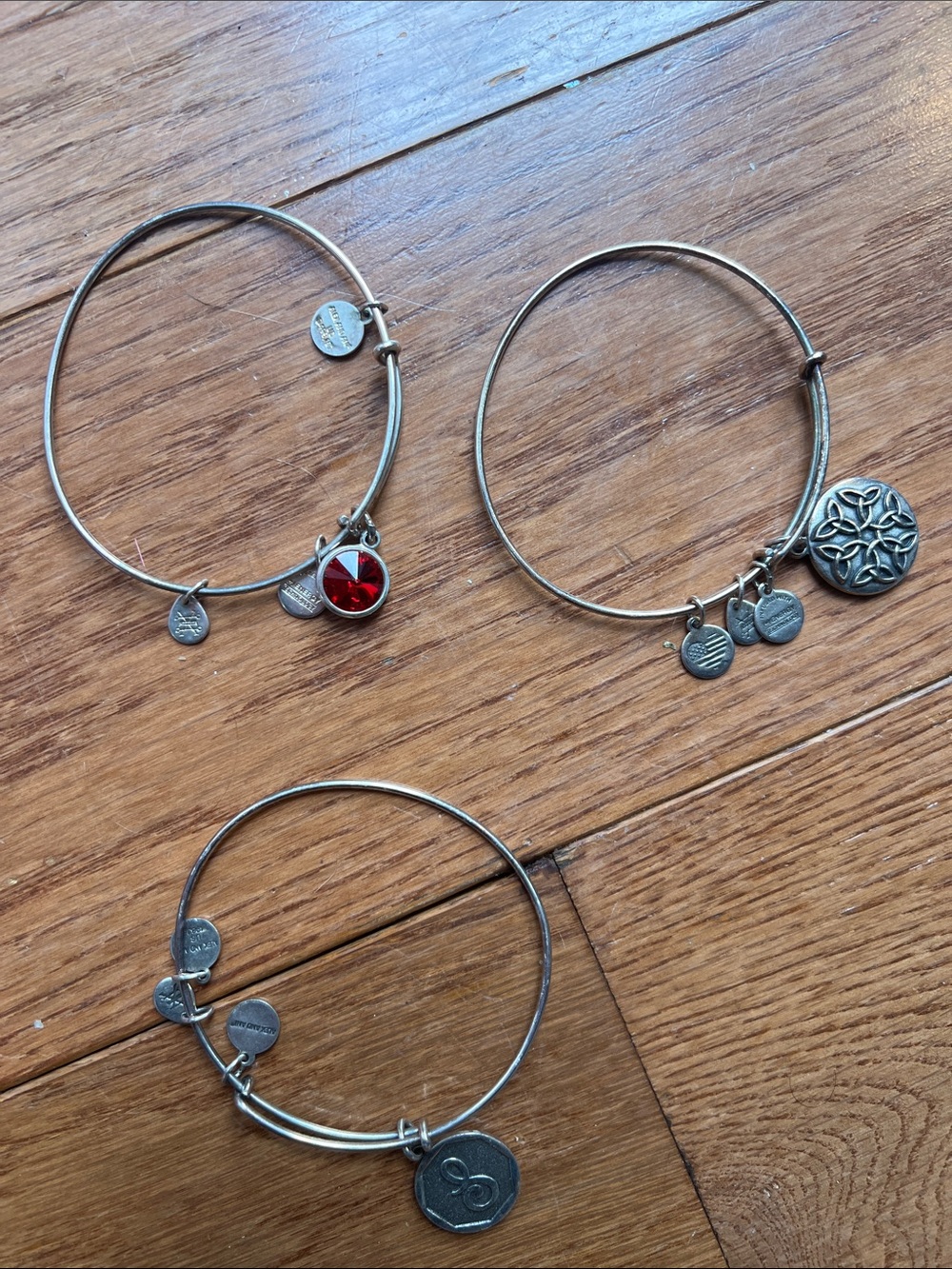 Alex and Ani Silver-Tone Women's Charm Bangle Bracelet with Red Crystal Accent